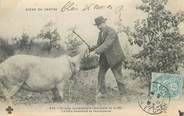 24 Dordogne / CPA FRANCE 24  "Groupe sympthique cherchant la truffe" / COCHON