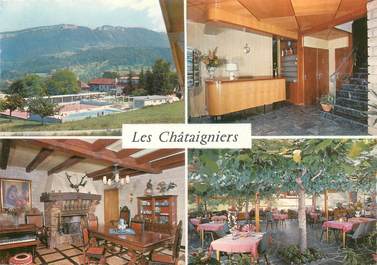 CPSM FRANCE 74 "Saint Jorioz,hôtel Les Chataigniers"