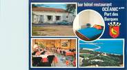 17 Charente Maritime CPSM FRANCE 17 "Port des Barques, bar hôtel restaurant Océanic"