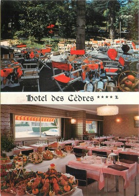 CPSM FRANCE 04 "Gréoux Les Bains, hôtel des Cèdres, restaurant"