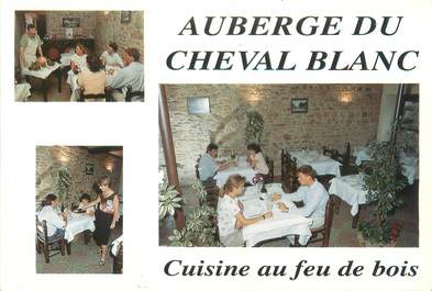 CPSM FRANCE 69 "Lyon, auberge du cheval blanc"