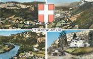 73 Savoie CPSM FRANCE 73 "Champagneux"