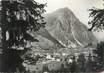 CPSM FRANCE 73 "Pragnolan La Vanoise, une trouée dans la forêt"