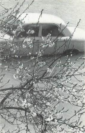 CPSM FRANCE 75 "Paris inondé 1978, le printemps"