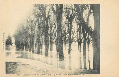CPA FRANCE 89 "Joigny, les promenades du midi" / INONDATION 1910