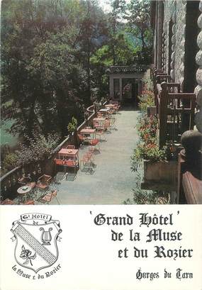 CPSM FRANCE 12 "Peyreleau, grand hôtel de la Muse et du Rozier"