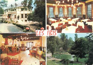CPSM FRANCE 78 "Le vésinet, hostellerie les Ibis"