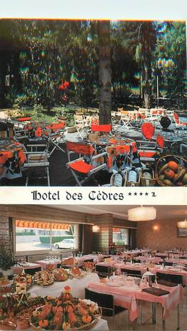 CPSM FRANCE 04 "Gréoux Les Bains, hôtel des Cèdres "