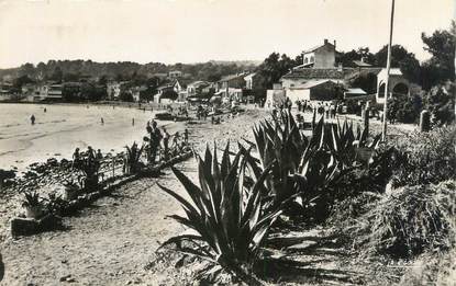 CPSM FRANCE 83 "Saint Cyr Les Lecques, la plage"