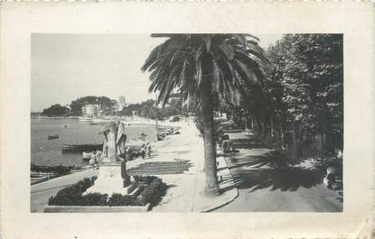 CARTE PHOTO FRANCE 83 "Bandol, quai du port"