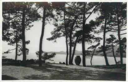 CPSM FRANCE 83 "Cavalaire sur Mer, vue sur le cap et la baie"