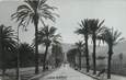 CARTE PHOTO FRANCE 83 "Hyères Les Palmiers, avenue Godillot"