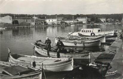 CPSM FRANCE 83 "Le Brusc, barques au repos"