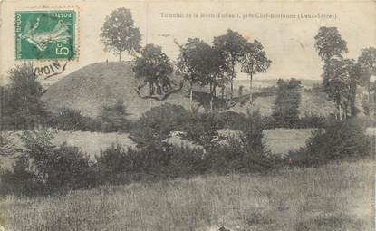 CPA FRANCE 79 "Tumulus de la Motte Tuffault près Chef Boutonne"