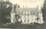61 Orne CPA FRANCE 61 "Chateau de Saint Denis près Mortagne"