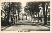 62 Pa De Calai CPSM FRANCE 62 "Hesdin, avenue d'Arras"