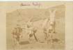 CARTE PHOTO ALGERIE / SCENES ET TYPES "Charrue Kabyle"