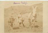 Algerie CARTE PHOTO ALGERIE / SCENES ET TYPES "Charrue Kabyle"