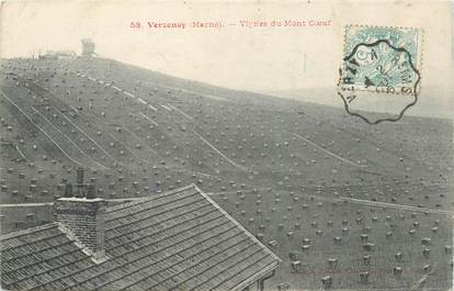 CPA FRANCE 51 "Verzenay, vignes du Mont Coeur"