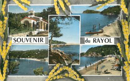 / CPSM FRANCE 83 "Souvenir du Rayol"