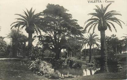 CARTE PHOTO FRANCE 06 "Cannes, villa Valetta"