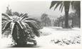 CARTE PHOTO FRANCE 06 "Cannes sous la neige"