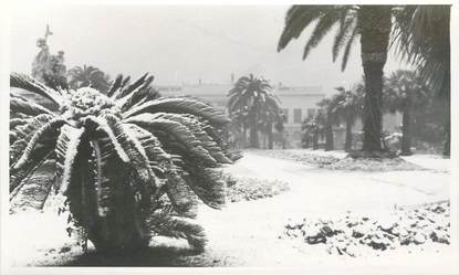 CARTE PHOTO FRANCE 06 "Cannes sous la neige"