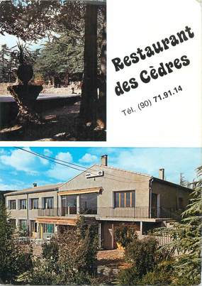 CPSM FRANCE 84 "Gordes, Restaurant des Cèdres"