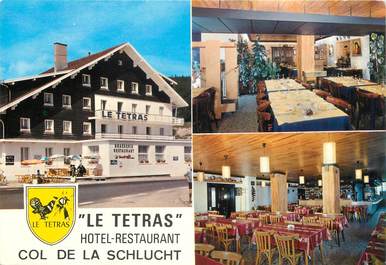 CPSM FRANCE 88 "Col de la Schlucht, hotel restaurant Le Tetras"