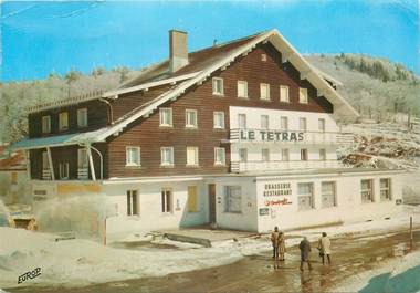 CPSM FRANCE 88 "Col de la Schlucht, hotel restaurant Le Tetras"