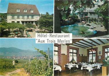 CPSM FRANCE 68 "Ammerschwihr, hotel restaurant aux Trois Merles"