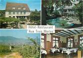 68 Haut Rhin CPSM FRANCE 68 "Ammerschwihr, hotel restaurant aux Trois Merles"