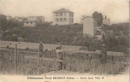 CPA FRANCE 06 "Golfe Juan, Etablissement Floral BERMON Frères"