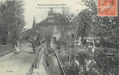 / CPA FRANCE 14 "Saint Laurent sur Mer, au bords de l'eau et des roseaux"