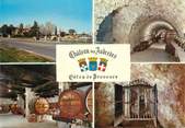 83 Var CPSM FRANCE 83 "Le Puget sur Argens, Domaines Fleurquin"