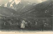 74 Haute Savoie CPA FRANCE 74 "Pâturages de la haute montagne"