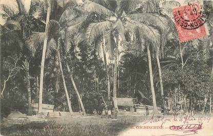 CPA VIETNAM "Les Cocotiers"