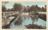 38 Isere / CPA FRANCE 38 "Beaurepaire, passerelle sur le Suzon"