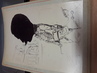 RARE LOT 28 DESSIN CARICATURE OMBRE / SILHOUETTE MILITAIRE sur support rigide photo / SURREALISME