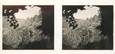 LOT 11 PHOTOS STEREOSCOPIQUES FRANCE 20 / CORSE "Les Calanches"