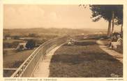 46 Lot CPA FRANCE 46 "Goudron, promenade de l'Arbre rond"