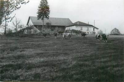 PHOTO FRANCE 38 "Thodore, 1955"