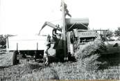 France PHOTO FRANCE 44 "Saint Denis la Chevasse, 1965, Moissonnage battage" / AGRICULTURE