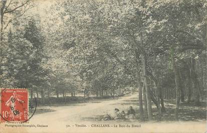 CPA FRANCE 85 "Challans, le Bois de Breuil"