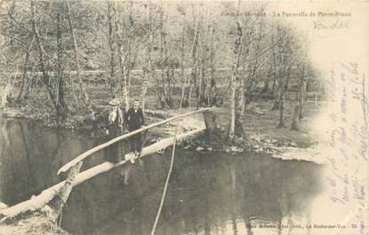 CPA FRANCE 85 "Foret de Mervent, la Passerelle de Pierre Brune"