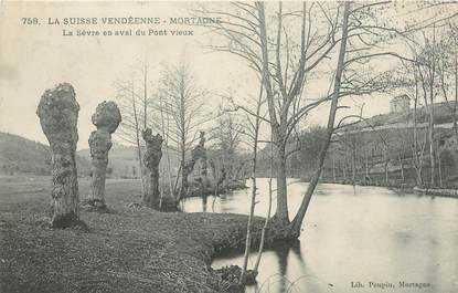 CPA FRANCE 85 "Mortagne, La Sèvre"