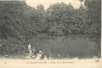CPA FRANCE 85 "La Roche sur Yon, Etang de la Brossardière"
