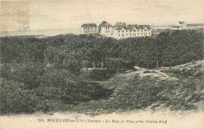 CPA FRANCE 85 "Saint Gilles Croix de Vie, le bois des Pins"