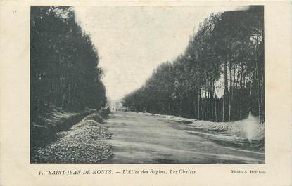 CPA FRANCE 85 "Saint Jean de Monts, l'Allée des Sapins"