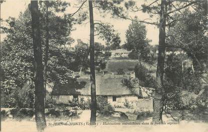 CPA FRANCE 85 "Saint Jean de Monts, Habitations maraîchines dans la foret de sapins"